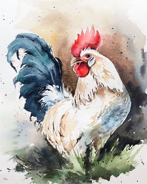 Watercolor Portrait Tutorial, Farm Animal Paintings, Loose Watercolor Paintings, Bunny Watercolor, Rooster Painting, Watercolor Paintings Nature, Watercolor Blog, Bird Watercolor Paintings, Chicken Painting