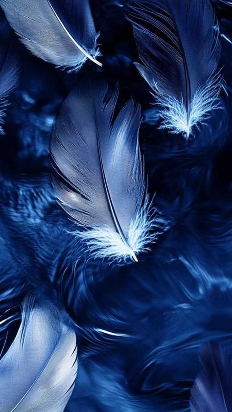 20+ Dark Blue Aesthetic Wallpapers to Give Your iPhone Screen a Profound Enigmatic Mood - The Mood Guide Dark Blue Aesthetic, Hairstylist Branding, Hipster Aesthetic, 4k Phone Wallpapers, Granola Girl Aesthetic, Ravenclaw Aesthetic, Feather Wallpaper, Aesthetic Dark Academia, Aesthetic Cottagecore