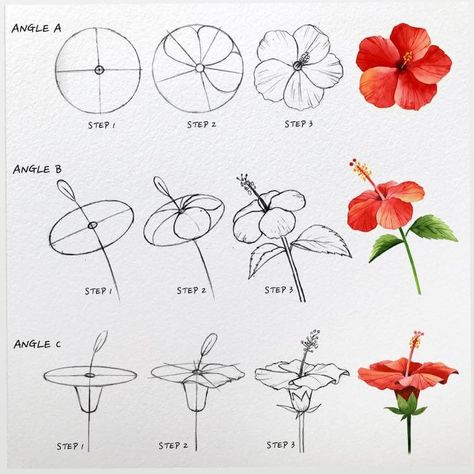 Trin For Trin Tegning, Seni Mural, Flower Drawing Tutorials, Seni Dan Kraf, Flower Art Drawing, Flower Sketches, Floral Drawing, Seni Cat Air, Watercolor Flower Art