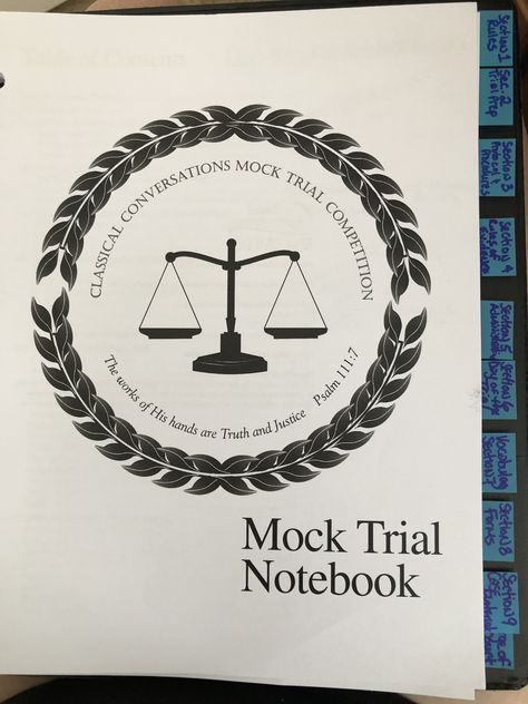 Mock Trial Aesthetic, Trial Aesthetic, Mock Trial, Classical Homeschool, Speech And Debate, Fall Semester, University Life, Junior Year, Future Goals