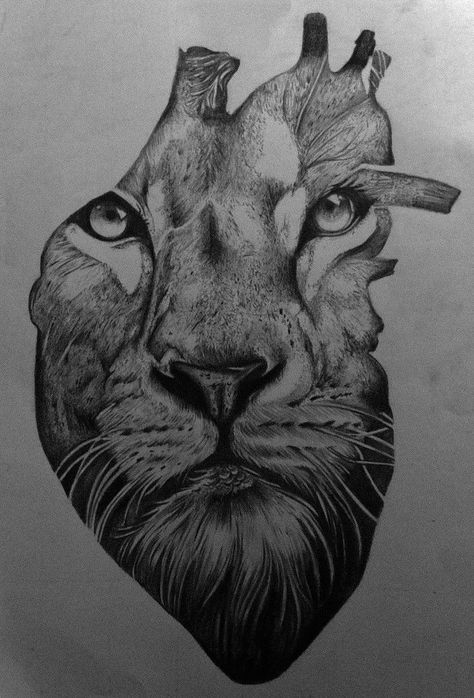 Lion Tattoo Drawing Sketches, Lion Eyes Drawing, Loin Tattoos Design, Drawings Of Lions, Lion Art Drawing, Leones Tattoo, Realistic Lion Drawing, Lions Tattoo, Lion Face Drawing