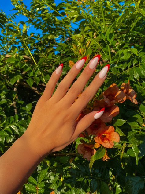 White Nails With Red Accent, White Nails With Red French Tip, Red France Nails, Red French Nails Design, White Red Nails, Nails Red French, Red French Nails, French Nails Design, Red Tips