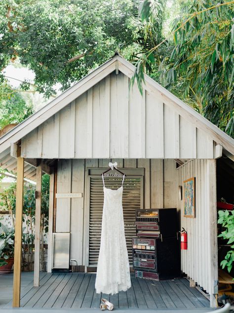 Chris & Emily / Ernest Hemingway house wedding | Merari Photography Hemingway House Wedding, Hemingway House Key West, Ernest Hemingway House, Hemingway House, Classic Weddings, Key West Wedding, Summer Campaign, West Wedding, House Keys