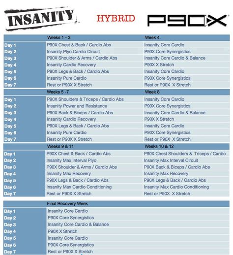 Insanity P90X Hybrid Workout Schedule Insanity Workout Schedule, Workouts Challenge, P90x Workout, Workout Sheets, Cardio Circuit, Cardio Abs, Insanity Workout, Beachbody Workouts, P90x