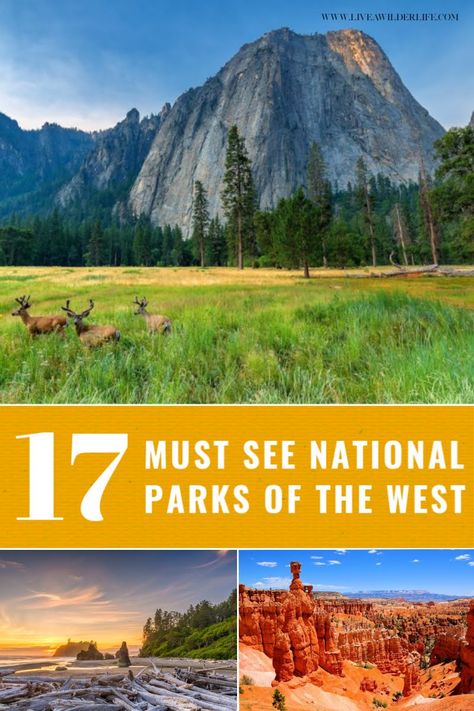 Zion National Park Photography, Zion National Park Hikes, National Park Itinerary, Best National Parks, Wyoming Travel, Rv Road Trip, Utah Road Trip, Cross Country Trip, National Parks Photography