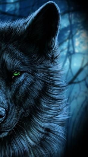 [62+] Images of Wolf Wallpapers on WallpaperSafari Blue Wolf Wallpaper, Wolf Wallpaper Iphone, Blue Wolf, Wolf Wallpaper, Wallpaper Iphone, Wallpapers, Iphone, Blue