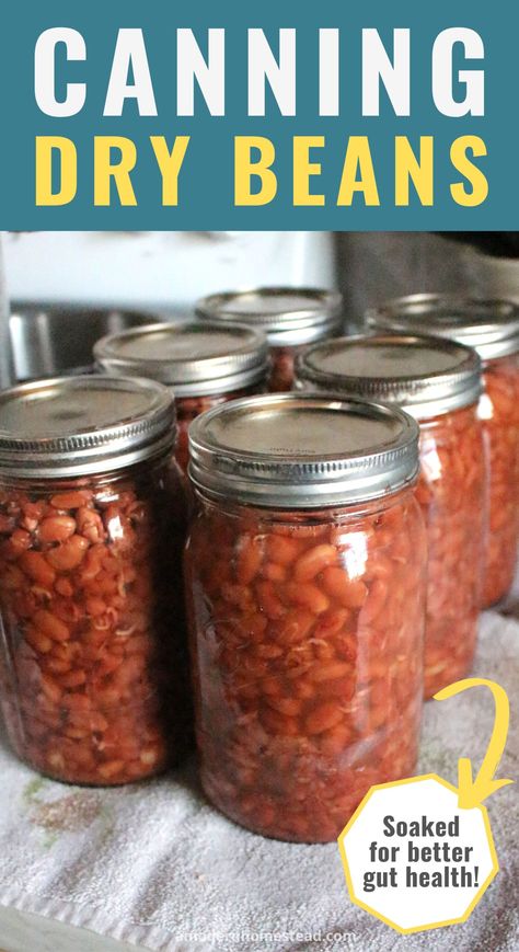 Canning dried beans such as pinto or black beans, is a wonderful way to have ready made meals on your pantry shelf. It takes very little time to pressure can dry beans and can save you hours at dinner time. Home-canned beans also have a much better flavor that store-bought tinned beans (and they are more nutritious too!). Canning Dry Beans, Ready Made Meals, Canning Gifts, Canning Beans, Dry Beans Recipe, Diy Canning, Canned Baked Beans, Homestead Recipes, Pinto Bean Recipes