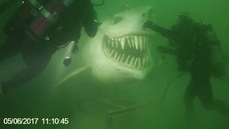 Underwater Shark Statue At Lake Neuchâtel Big Shark, Deep Sea Diver, Marianas Trench, Heraklion, Shark Week, Sculptures & Statues, Deep Sea, Sea Creatures, Lake