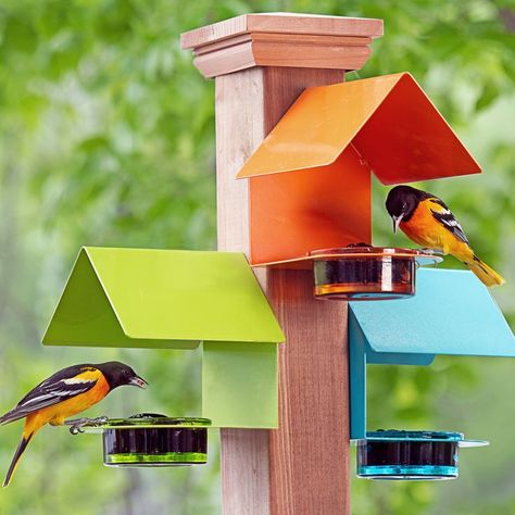 Oriole Bird Feeders, Oriole Bird, Bird House Feeder, Mosaic Birds, Diy Bird Feeder, Diy Birds, Bird Houses Diy, Odaiba, How To Attract Birds