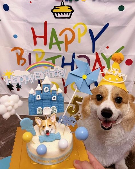 Happy Birthday Corgi, Dog Birthday Pictures, Corgi Birthday, Corgi Gif, Birthday Corgi, Dog Birthday Party, Today Is My Birthday, Corgi Puppy, Happy Birth