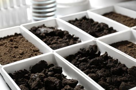 Containers with soil samples. Laboratory research. Containers with soil samples , #Aff, #samples, #soil, #Containers, #table, #research #ad Soil Scientist, Soil Sampling, Testing Soil Ph, Causes Of Soil Pollution, Fashion Logo Branding, Soil Testing, Dark Blue Background, Soil, Photo Image