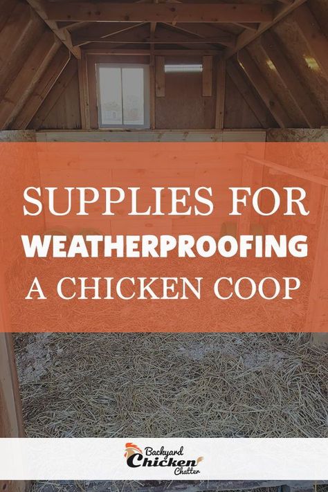 Owning Chickens, Inside Chicken Coop, Duck Coop, Chicken Poop, Raising Ducks, Chicken Pen, Best Chicken Coop, Egg Production, Small Chicken