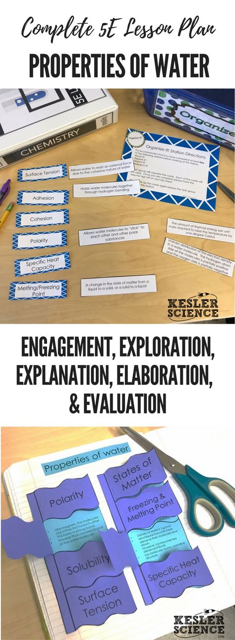 Properties of Water 5E Lesson Plan ready to print and teach the entire chemistry unit. Includes word wall of vocabulary, interactive science notebook template, presentation and note worksheet, and student choice final project. Complete station lab activity is also included where students will read, research, watch, explore, illustrate, organize, write, and be assessed. Grades 5th 6th 7th 8th 9th 5e Lesson Plan, Water Worksheet, Biology Activities, Water Properties, Science Matter, Water Lessons, Properties Of Water, Middle School Science Activities, Notebook Template