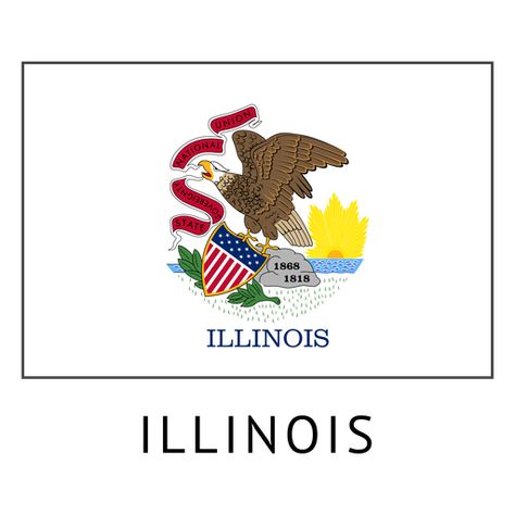 Chicago Decor, Schaumburg Illinois, Free Paper Printables, Flag Printable, Illinois State, Flag Png, Electronic Media, Educational Projects, Background Texture