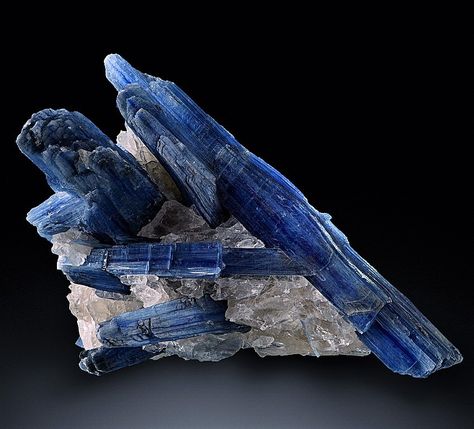 Minerals, Crystals & Fossils - Kyanite in Rock Crystal - Barra do Salinas, Minas... Minerals Crystals Rocks, Cool Rocks, Rock Collection, Mineral Stone, Rocks And Gems, Minerals And Gemstones, Gems And Minerals, Stone Rocks, A Rock