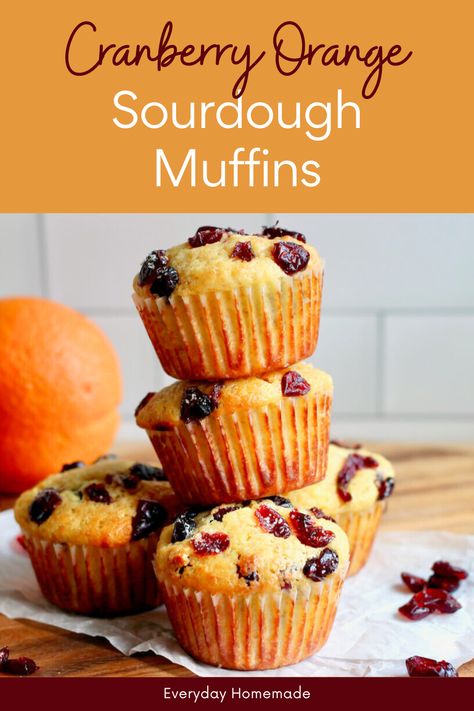 These Cranberry Orange Sourdough Muffins are soft, citrusy, and perfect for fall baking. This easy sourdough muffin recipe uses sourdough starter discard, dried cranberries, fresh orange juice, and zest. Bake them the same day for a quick breakfast, brunch, or snack. They're even great for Thanksgiving morning! Sourdough Orange Muffins, Quick Sourdough Muffins, Thanksgiving Sourdough Discard Recipes, Sourdough Discard Cranberry Orange Muffins, Sourdough Cranberry Muffins, Sourdough Discard Cranberry Muffins, Cranberry Sourdough Recipes, Sourdough Cranberry Orange Muffins, Sourdough Bran Muffins