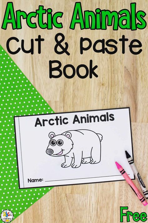 Arctic Animals For Kindergarten, Arctic Animal Books Preschool, Artic Animals Activities Toddler, Artic Animal Art For Toddlers, Polar Animals Kindergarten, Winter Animal Theme Preschool, Artic Animal Activities For Preschoolers, Artic Animals Fine Motor Activities, Arctic Activities For Kids