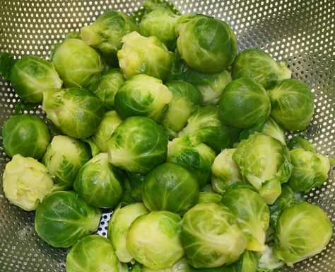 Whether you love or hate the green bullets, every cook should have a few Brussels Sprouts recipes in their repertoire. Brussel Sprouts Benefits, Booster Juice Recipes, Fat Burning Fruits, Bitters Recipe, Bubble And Squeak, Sprouts With Bacon, Sprout Recipes, Heirloom Vegetables, Brussels Sprouts Recipe