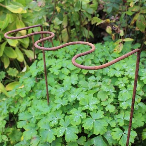 (Best Seller) Plant Support Holly Hocks, Garden Supports, Kitchen Garden Plants, Driveway Markers, Fruit Cage, Garden Plant Supports, Framed Plants, Plant Stakes, Metal Pergola