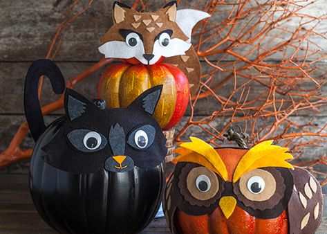 Felt costumes for pumpkin craft Pumkin Decoration, No Carve Pumpkin, No Carve Pumpkin Decorating, Pumpkin Mask, Halloween Pumpkin Designs, Fun Pumpkins, Rustic Fall Decor, Wood Pumpkins, Pumpkin Halloween Decorations