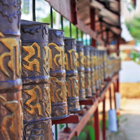 Bodh Gaya , Bihar. Gaya Bihar, Bodh Gaya, Living In England, Miss India, Beer Mug, Floral Painting, Mumbai, Beer Glasses, You Never