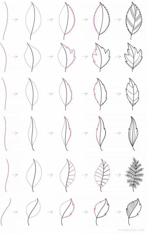 Drawing leaves: How to draw step by step - Doodle a leaf