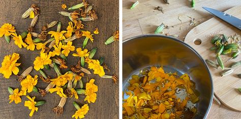 Two methods for making natural ink from marigolds Dried Marigold, Sun Tea, Eco Dyeing, Arches Watercolor Paper, Stamp Carving, Clove Oil, Calligraphy Ink, Water Me, Water Flowers