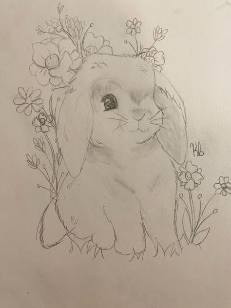 Drawing With Flowers, Bunny Sketches, Spring Drawing, Easter Drawings, Bunny Drawing, Sketches Tutorial, Butterfly Drawing, Mini Drawings, Cute Rabbit