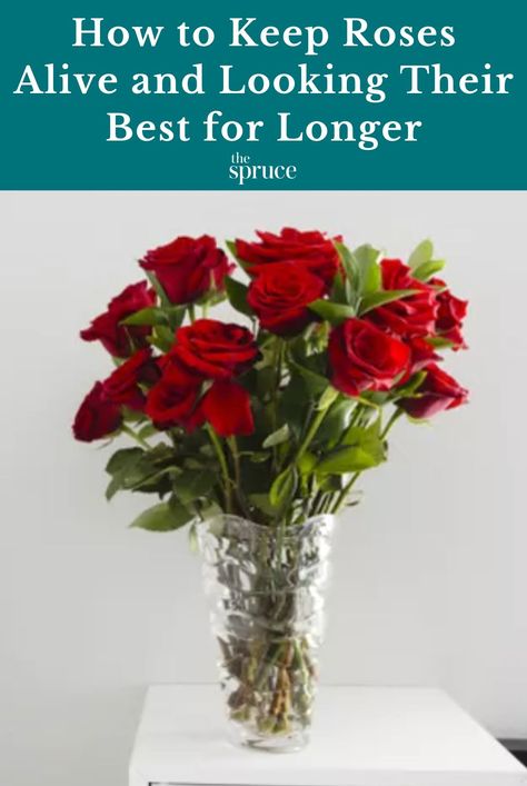 How To Bring Roses Back To Life, Fresh Roses In A Vase, How To Take Care Of Roses In A Vase, Roses In Vase Floral Arrangements, How To Make Roses Last Longer, Arranging Roses In A Vase, How To Keep Roses Fresh Longer, How To Keep Roses Alive Longer Vase, Keep Roses Alive Longer