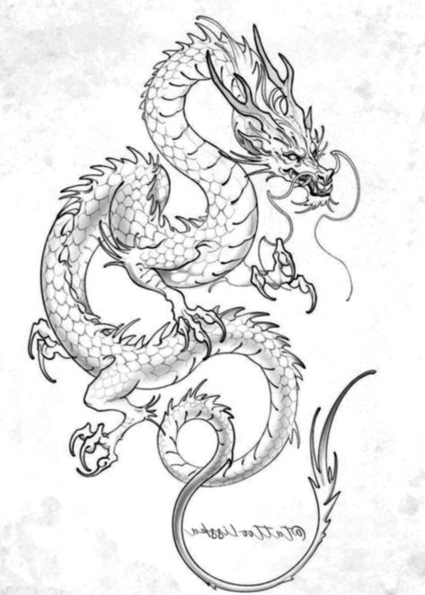 Dragon Lineart Tattoo, Traditional Japanese Dragon Tattoo, Traditional Japanese Dragon, Spider Flower, Japanese Dragon Drawing, Japanese Dragon Tattoo, Japanese Dragon Tattoos, Angel Tattoo Designs, Dragon Sketch