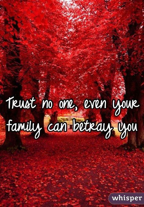 I Have Trust Issues Quotes Feelings, Trust Quotes Family, Family Betrayal Quotes, Trust Issues Quotes, Issues Quotes, Diy Macrame Plant Hanger Tutorials, Family Betrayal, Never Trust Anyone, Family Trust