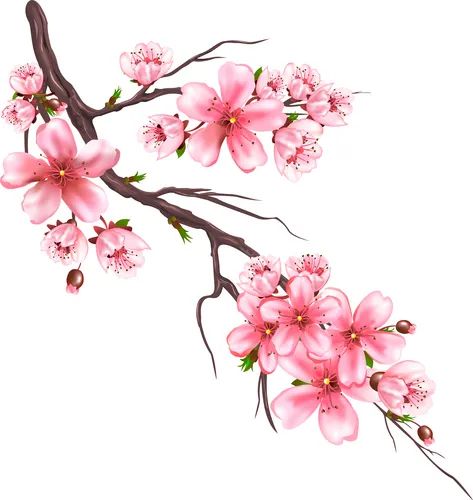 Sakura branch Royalty Free Vector Image - VectorStock Cherry Blossom Drawing, Flor Tattoo, Branch Drawing, Craft Cottage, Rose Flower Tattoos, Branch Vector, Flower Drawing Design, Cherry Blossom Branch, Cherry Blossom Art