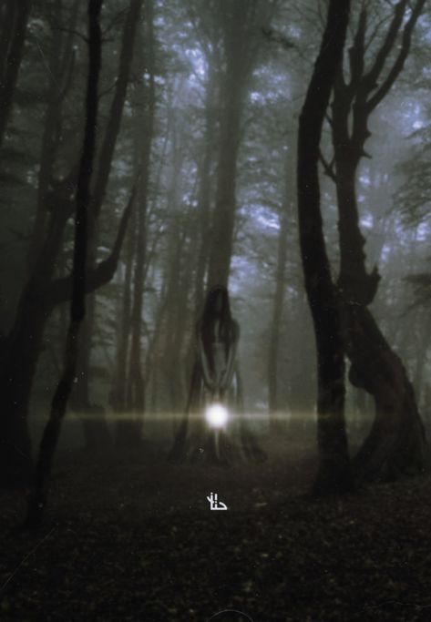 Photo editing, forest, scary, ghost Creepy Things In The Woods, Rotten Wood, Forest Spirits, Book Vibes, Haunted Forest, Creepy Stuff, Victorian Aesthetic, Forest Girl, Night Forest