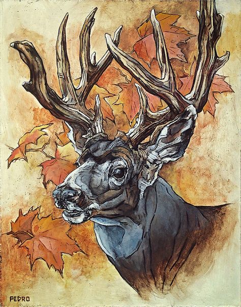 Autumn Acrylic Painting, Mule Deer Buck, Deer Buck, Mule Deer, Sea Witch, Creative Painting, Rocky Mountain, Rocky Mountains, Mule