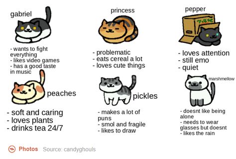 literally all Neko Atsume Kitty Collector, Tag Yourself Meme, Tag Urself, Plant Puns, Tag Yourself, Neko Atsume, Love Puns, Flightless Bird, 32 Ford