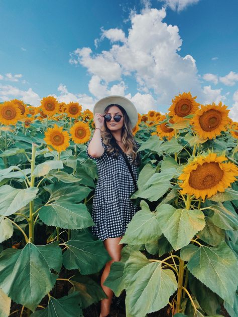 Photoshoot Sunflower, Sunflower Field Photography, Sunflower Fashion, Sunflower Field Pictures, Sunflower Festival, Sunflower Photoshoot, Field Pictures, Photo Shoot Tips, Sunflower Head