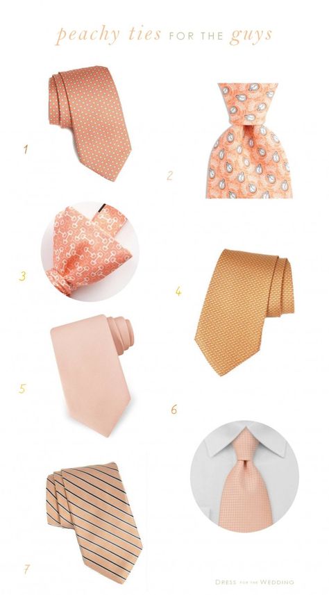 Peach Ties  For Grooms and Groomsmen Peach Wedding Groomsmen, Peach And Orange Wedding, Apricot Wedding, Grooms And Groomsmen, Mums Wedding, Centerpieces Floral, Suits Groom, Peach Tie, Grey Suits