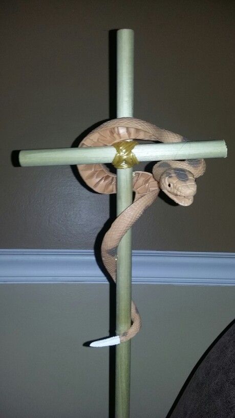 DIY "Bronze Serpent" visual (I couldn't find an actual bronze snake). For children's Sunday School lesson in the book of Numbers Bronze Serpent, Snake Crafts, Book Of Numbers, Kids Sunday School Lessons, Sunday School Kids, Sunday School Lessons, Bible Crafts, School Lessons, Bible Lessons