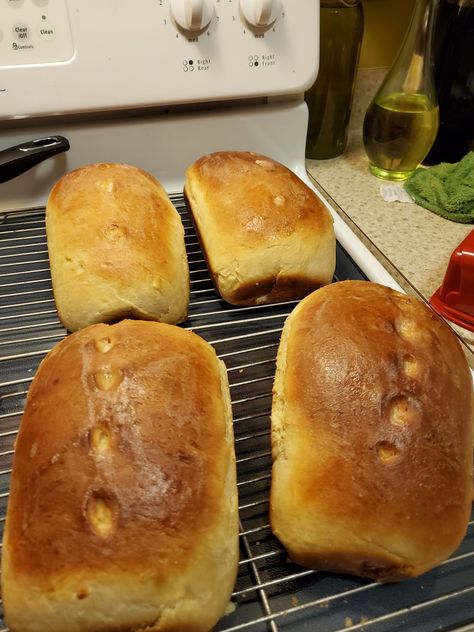 Try Tupperware Bread! You'll just need 9 cups flour, 1 1/2 cups scalded milk, 1 1/2 cups cool water, 2/3 cups sugar, 2 tsp salt, 4 eggs, beaten, 2 pakgs... Tupperware Bread Recipe, Beer Bread Easy, Cooker Cake, Tupperware Recipes, Freshly Baked Bread, Bread Easy, Beer Bread, Baked Bread, Weekend Breakfast