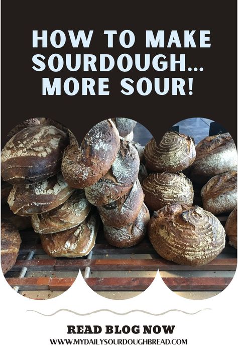 Add Sourdough To Any Recipe, Sour Sourdough Bread, How To Make Sourdough More Sour, How To Make Sourdough Less Sour, How To Make Sourdough Bread More Sour, Sourdough Tools, When Is Sourdough Starter Ready To Use, Flavored Sourdough Bread, How Do You Know When Your Sourdough Starter Is Ready