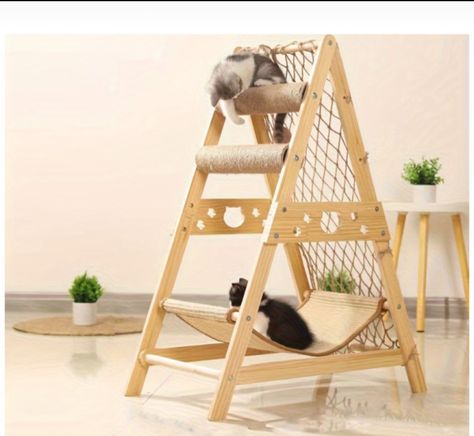 Cat Tree, A Cat, Hammock, Climbing, Pet