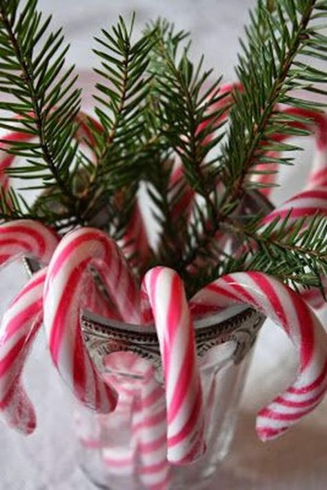 50 Best Candy Cane Christmas Decorations which are the "Sweetest things you've Ever Seen" - Hike n Dip Christmas Candy Cane Decorations, Candy Cane Crafts, Candy Cane Decorations, Candy Cane Christmas Tree, Candy Cane Christmas, Candy Christmas Decorations, Office Christmas, Diy Candy, Christmas Door Decorations