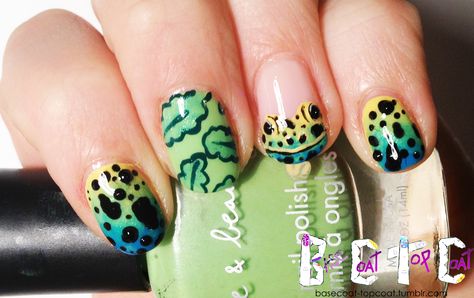 poison dart frog Poison Frog Nails, Poison Dart Frog Nails, Frog Nails, Poison Frog, Poison Dart Frog, Frog Wallpaper, Poison Dart, Dart Frog, Animal Print Nails