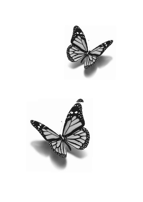 Detail Butterfly Tattoo, Butterfly With Shadow Tattoo Stencil, Realistic Monarch Butterfly Tattoo Black And White, Butterfly With Shadow Tattoo, Butterfly Tattoo With Shadow, Butterfly Drawing Black And White, Monarch Butterfly Tattoo Black And White, 3d Butterfly Drawing, Mariposas Tattoo