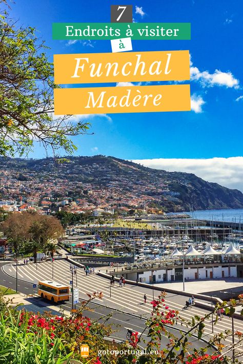 Funchal, Top 40, Road Trips, City Photo, Road Trip, Portugal, Travel, Santa Catarina, Porto