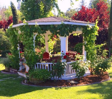 39 Gorgeous Gazebo Ideas (Outdoor Patio & Garden Designs) - Designing Idea Backyard Cozy, Gazebo Design Ideas, Gazebo Design, White Gazebo, Ideas For Backyard, Backyard Getaway, Gazebo Ideas, Backyard Ideas On A Budget, Wooden Gazebo