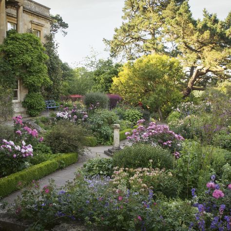 Climbing Roses Garden, Garden Design Flowers, Landscape Cottage, Garden Museum, Beth Chatto, Planting Schemes, Italian Gardens, Tattoo Plant, Garden Goals