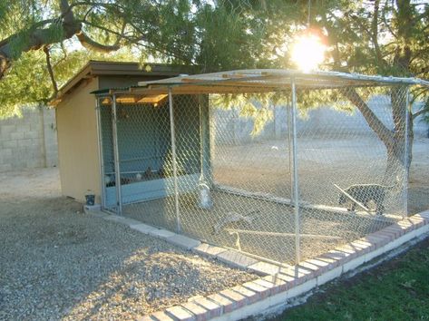 3 Sided Chicken Coop, Hot Weather Chicken Coop, Arizona Chicken Coop, Chicken Board, Coop Decor, Portable Chicken Coop, Chicken Shack, Desert Climate, Coop Ideas