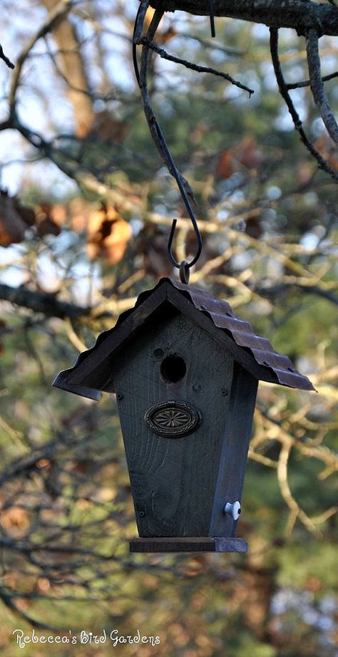 Rustic Birdhouse! Black Birdhouse, Roof Idea, The Villa, Rustic Bird Feeders, Wood Witch, Wren House, Bee Houses, Beautiful Birdhouses, Birdhouses Rustic