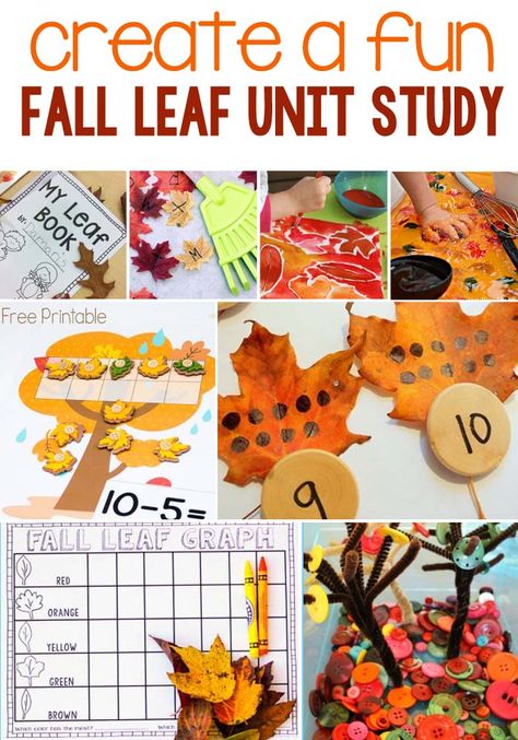 Leaf Lessons For Kindergarten, Autumn Social Studies Preschool, Fall Leaves Kindergarten Activities, Leaf Unit Study Kindergarten, Leaves Unit Study, Leaf Thief Activity, Going On A Leaf Hunt Activities, The Leaf Thief Activities, Diy Snow Globe Mason Jar